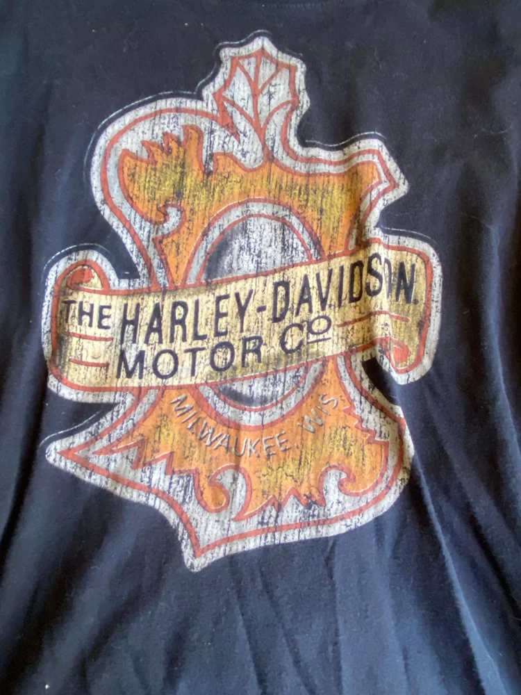 Harley Davidson T-shirts, size XL / 42 / 14, photo 2