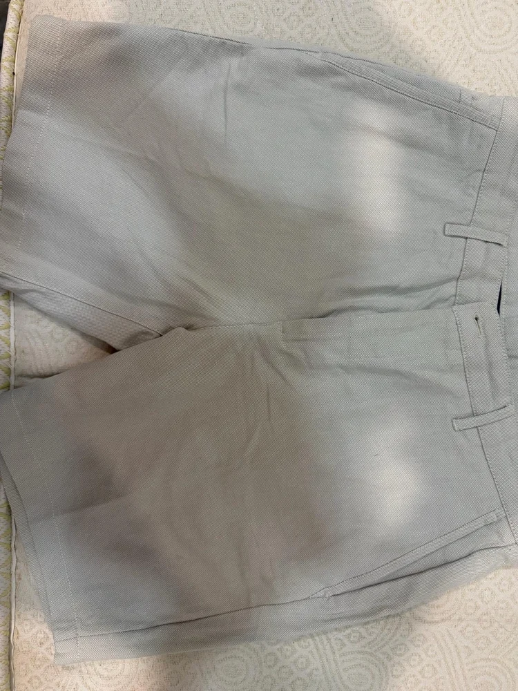 Zara Shorts