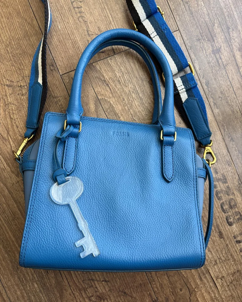 Fossil Cross-Body Bag