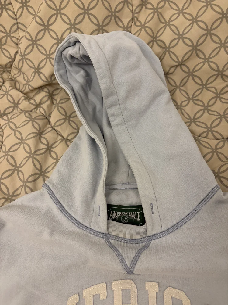 American Eagle Hoodies, size L / 40 / 12, photo 2
