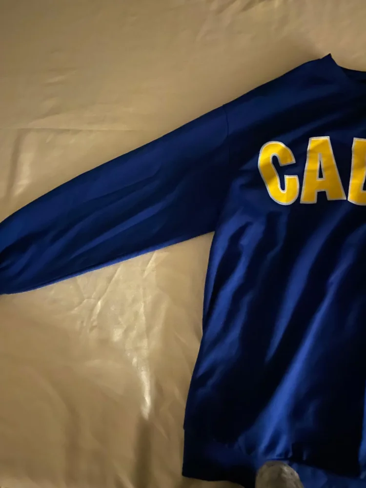 Sweatshirts, size L, photo 3