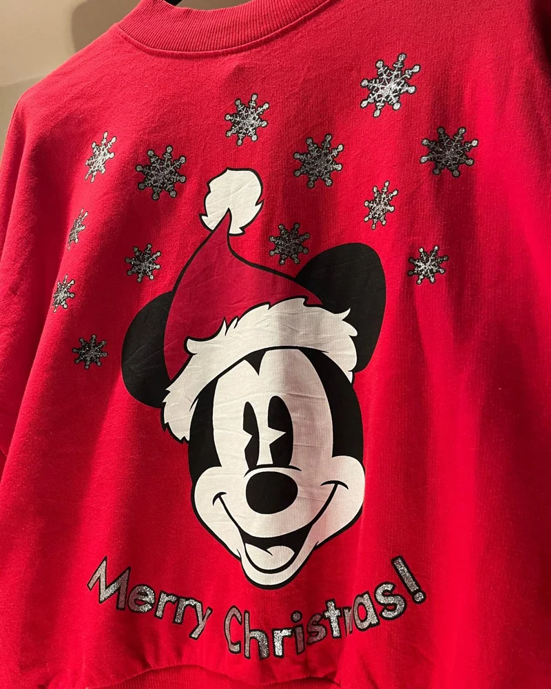 Disney Sweatshirts, size M / 38 / 10, photo 2