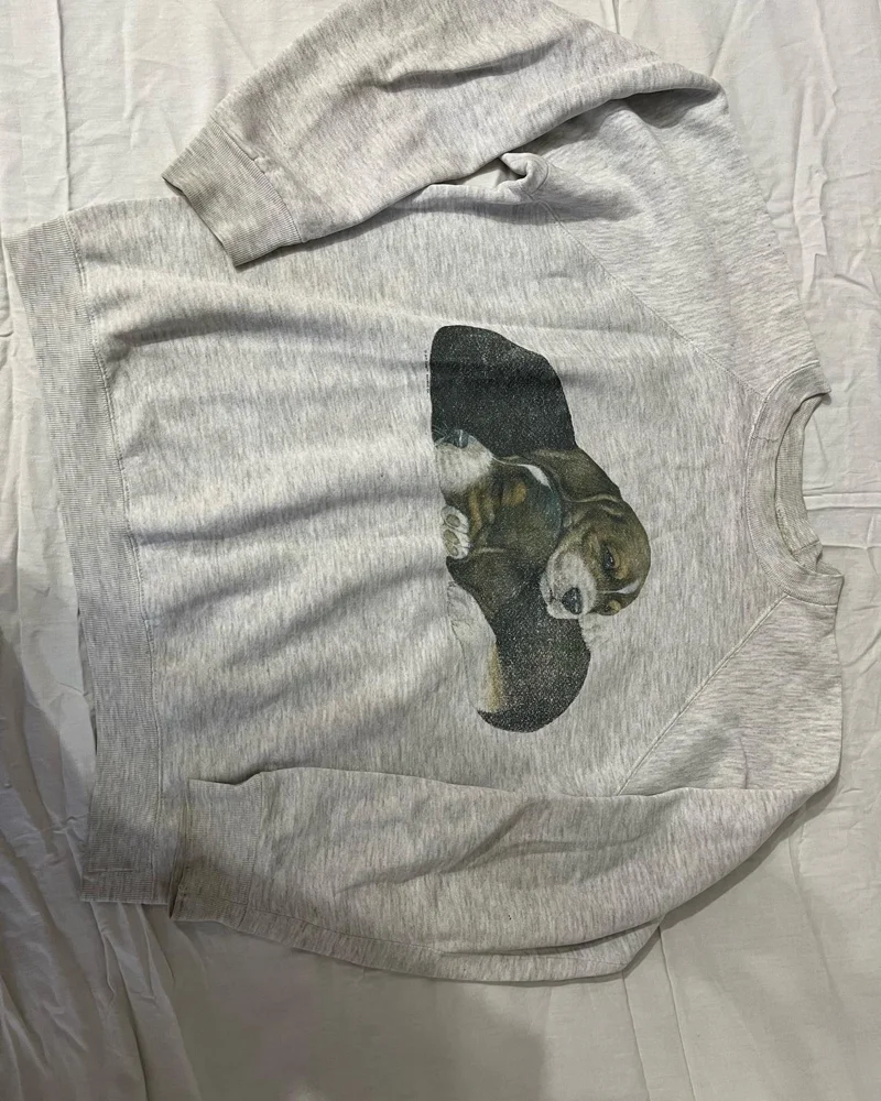 Sweatshirts, size M / 38 / 10, photo 3