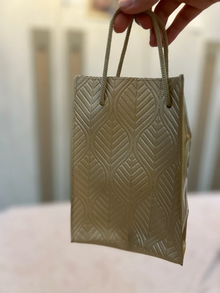 Bath and Body Works Mini Bag