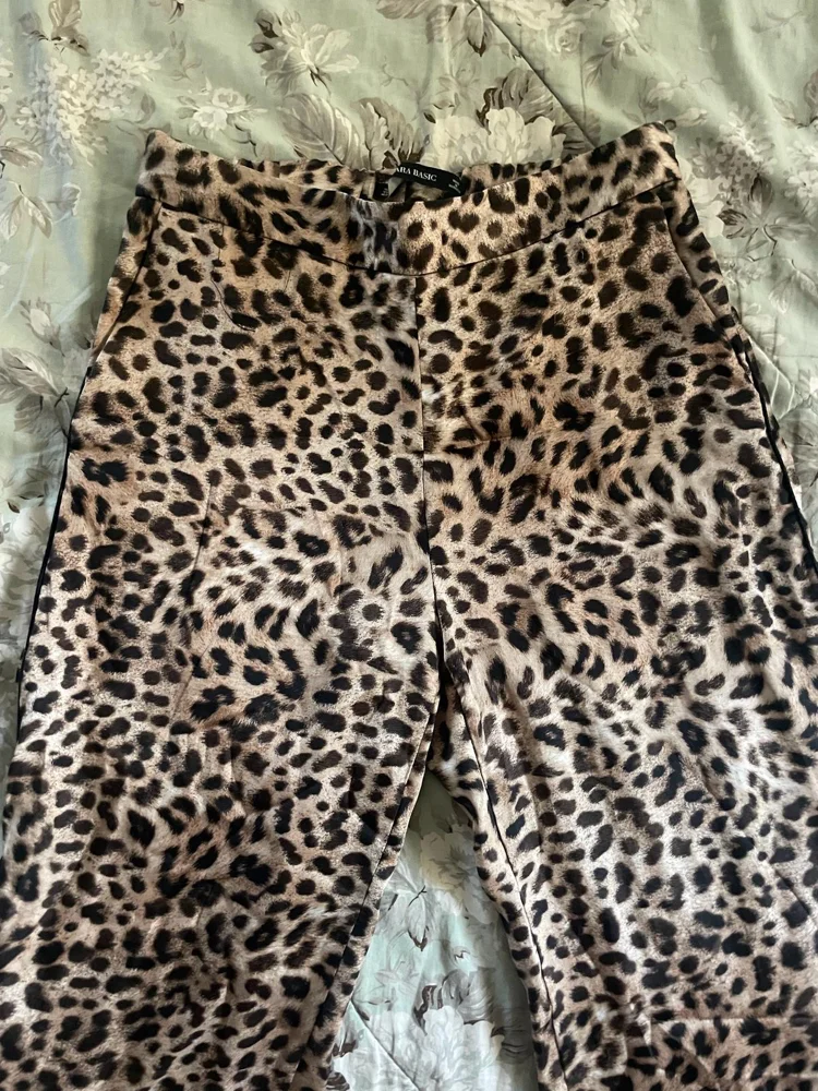 Zara Pants