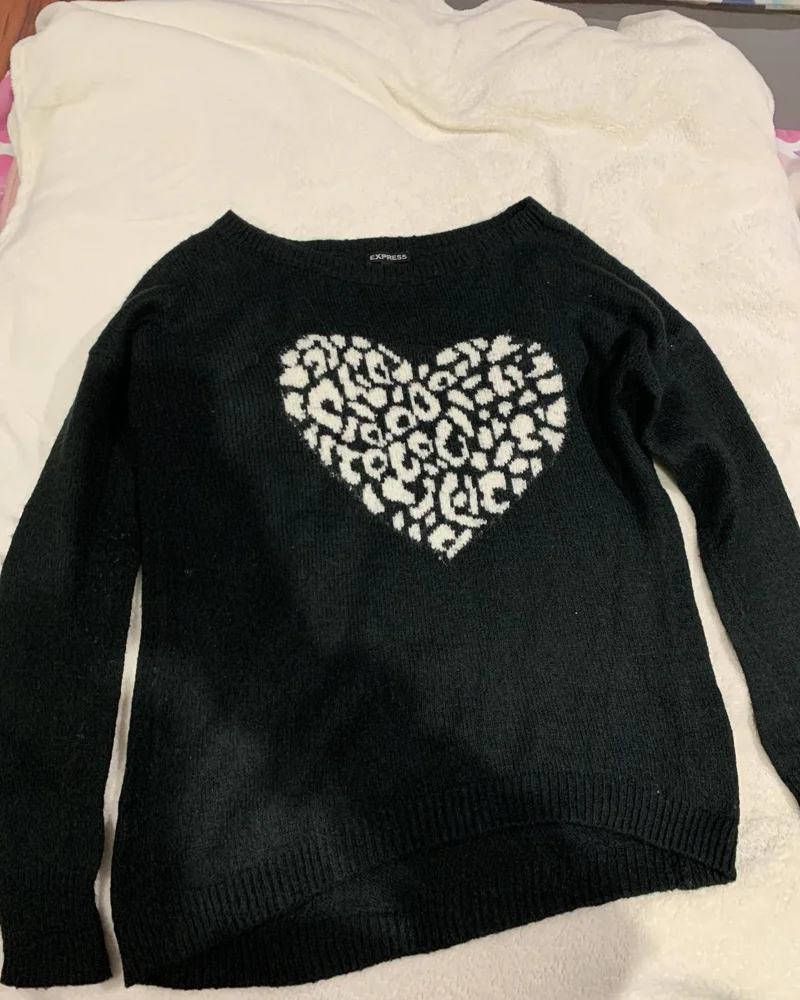 Express Sweaters & Pullovers