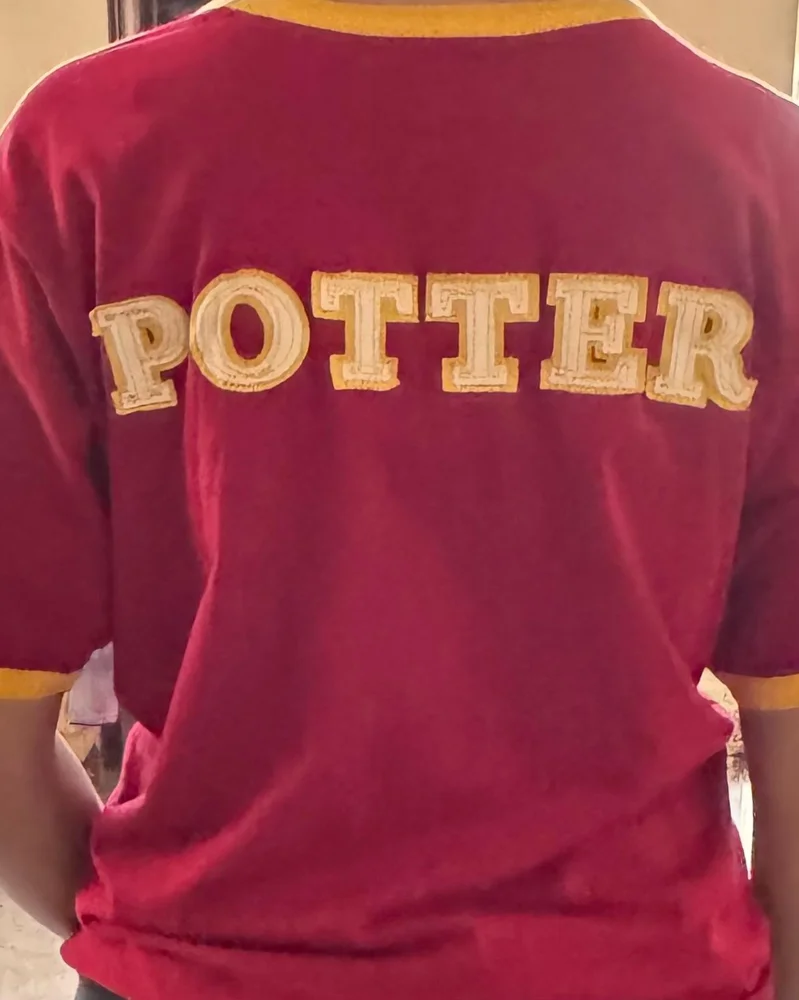 Warner Bros. T-shirts, size L / 40 / 12, photo 4
