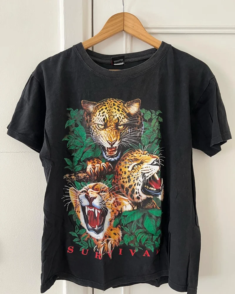 T-shirts, size S / 36 / 8, photo 5