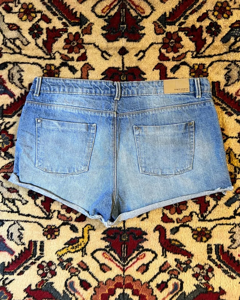 Springfield Shorts, size L / 40 / 12, photo 3