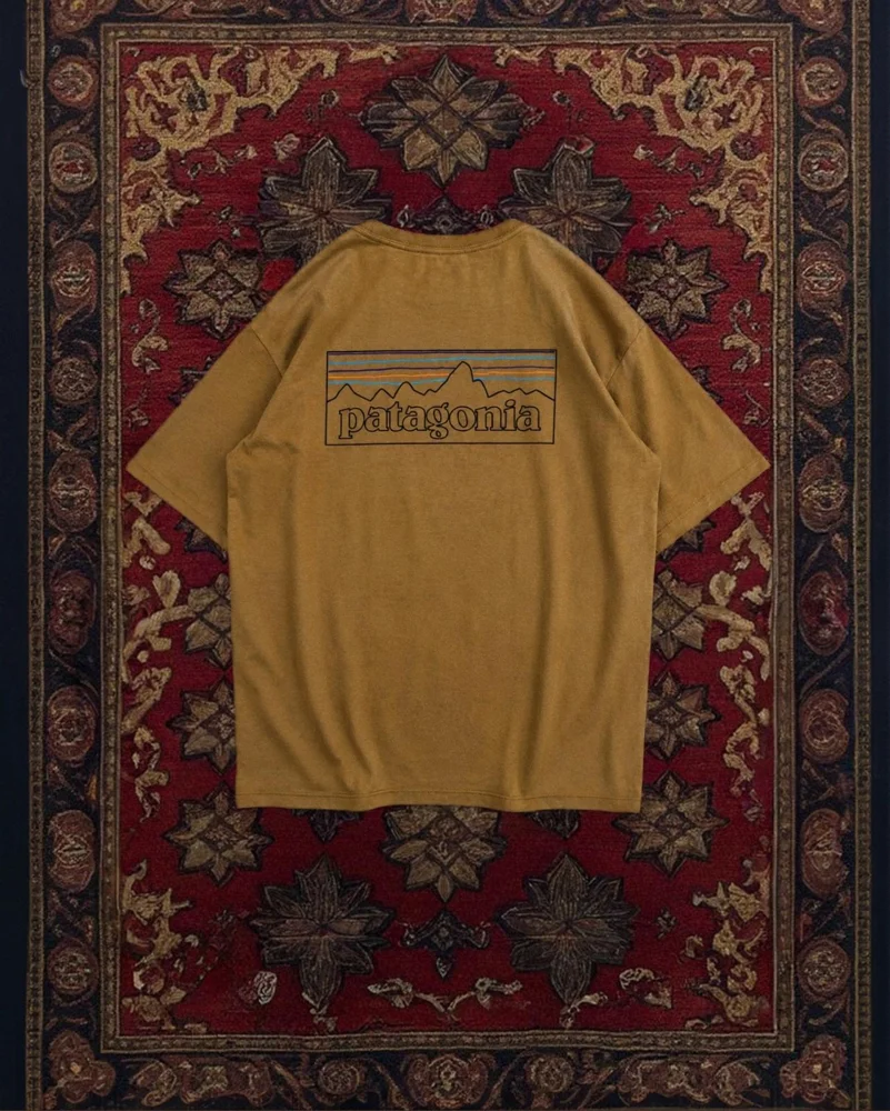 Patagonia T-shirts, size M, photo 2