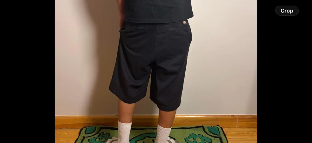 Dickies Shorts, size S, photo 3