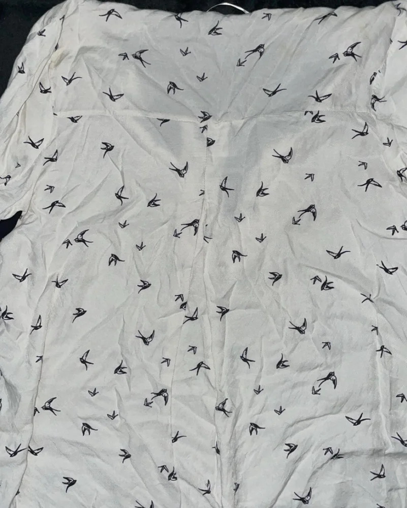 Zara Blouses, size M / 38 / 10, photo 4