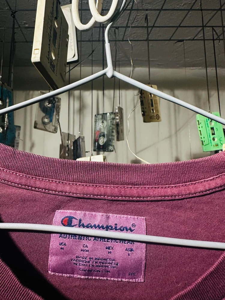 Champion T-shirts, size M, photo 3