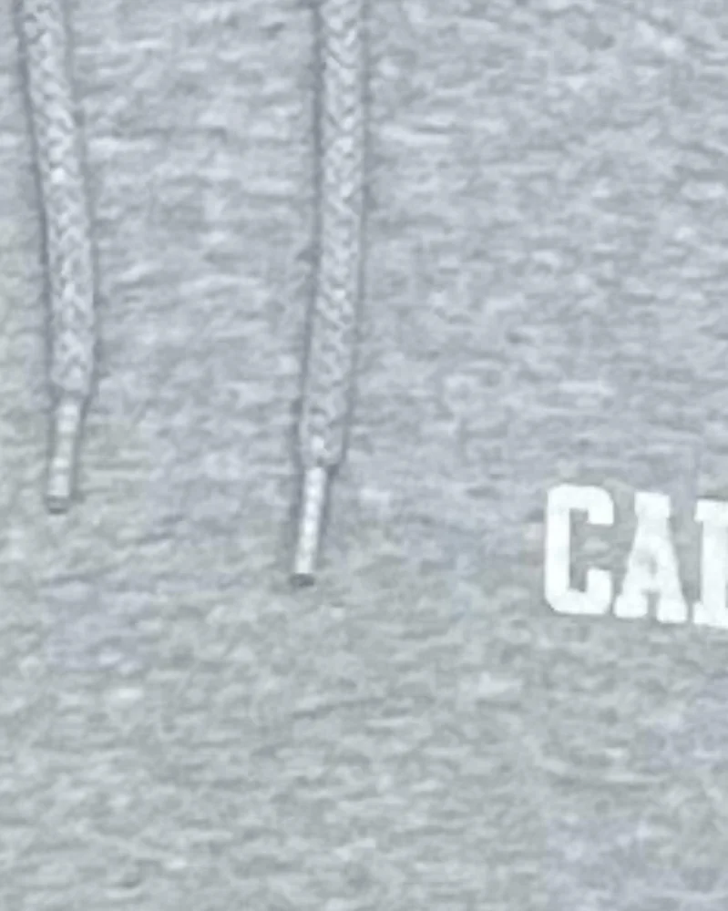 Carhartt Hoodies, size M, photo 3