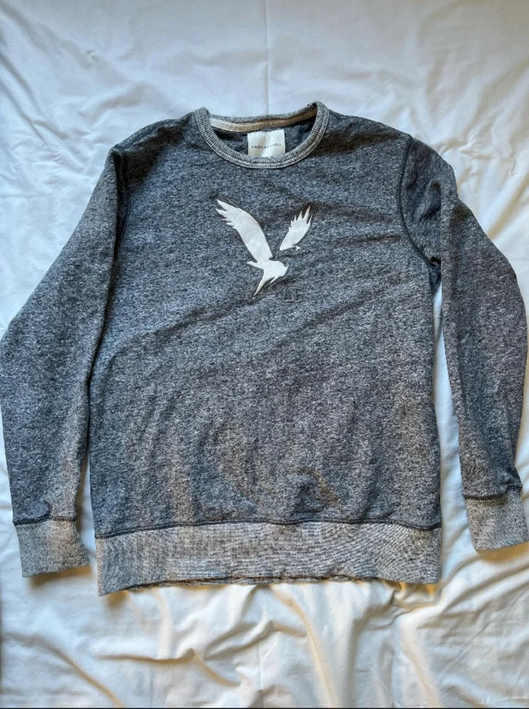 American Eagle Sweatshirts, size M / 38 / 10, photo 2