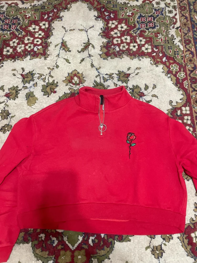H&M Sweaters & Pullovers