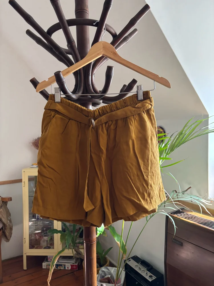 Zara Shorts