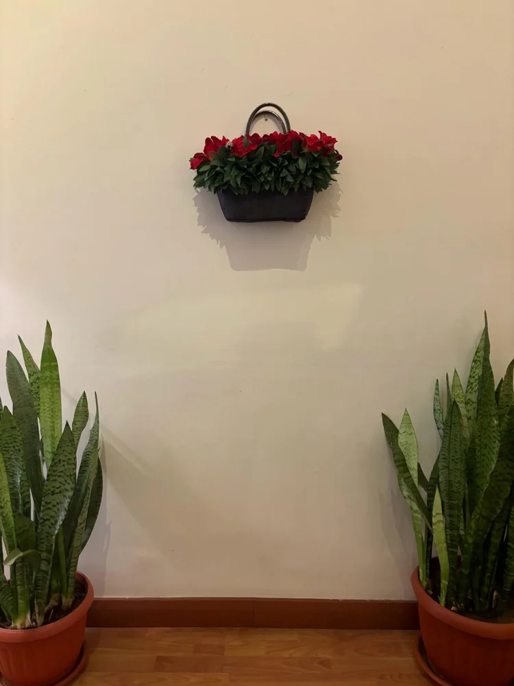 Handbags