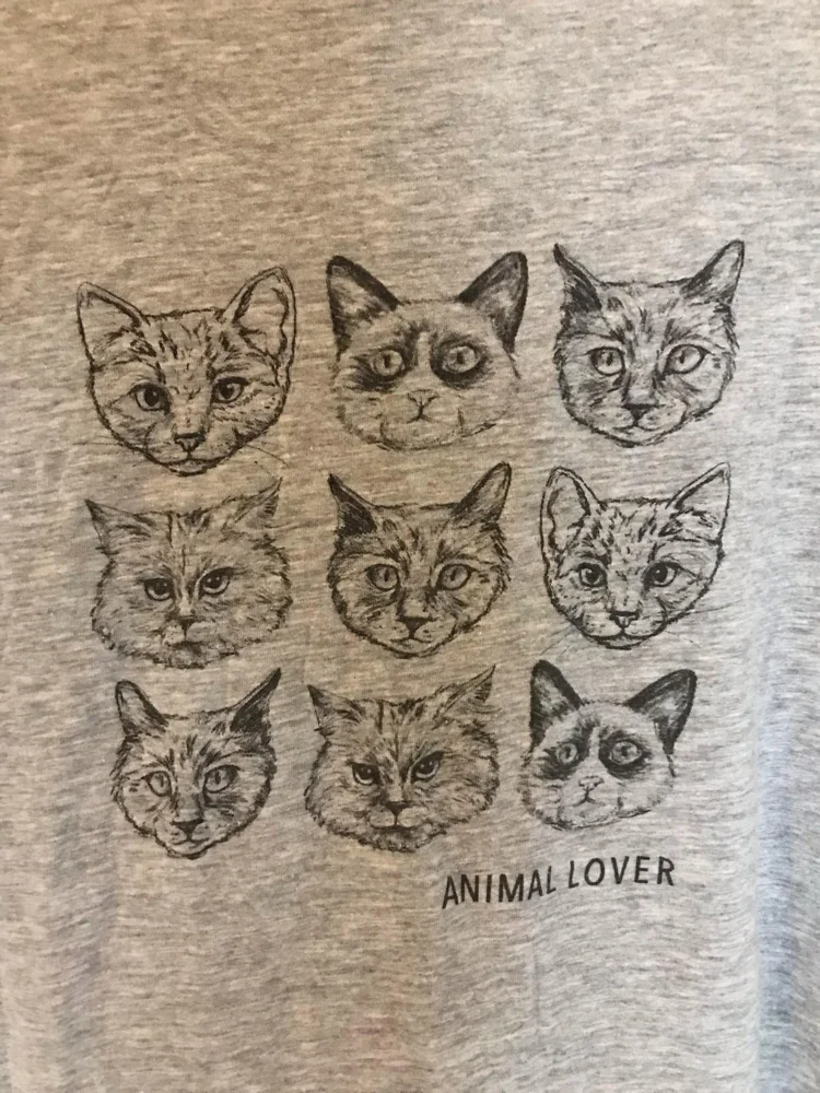 Stradivarius T-shirts, size XS / 34 / 6, photo 3