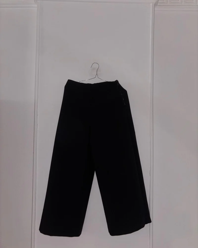 Zara Pants