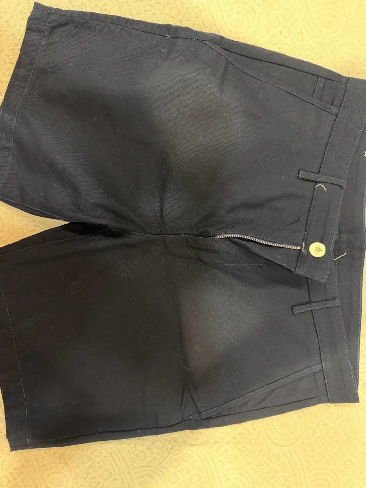 Zara Shorts