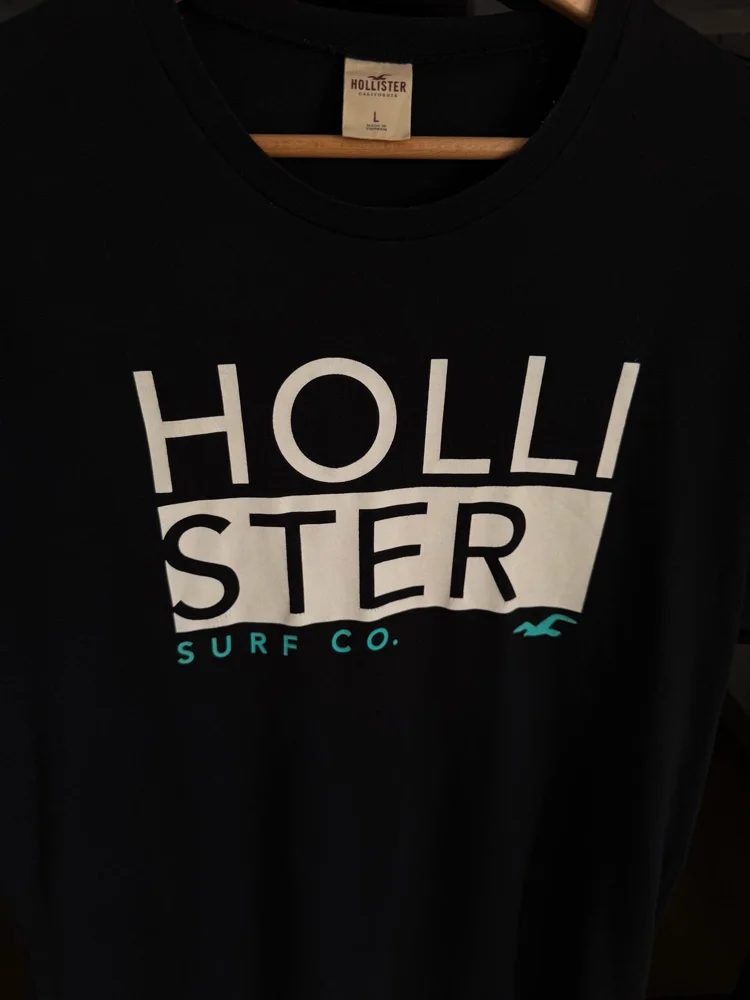 Hollister & Co T-shirts, size L, photo 2