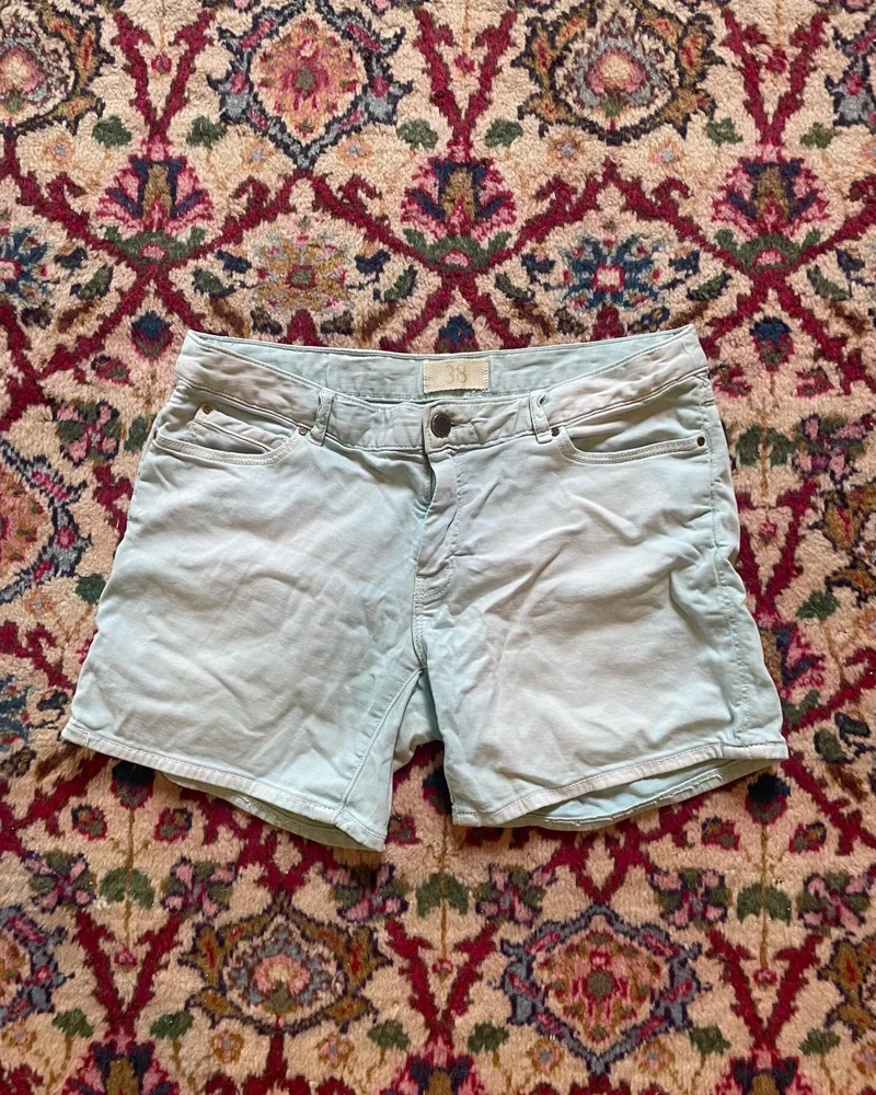Zara Shorts