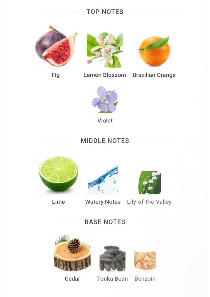 AVON Perfume, size Other, photo 5