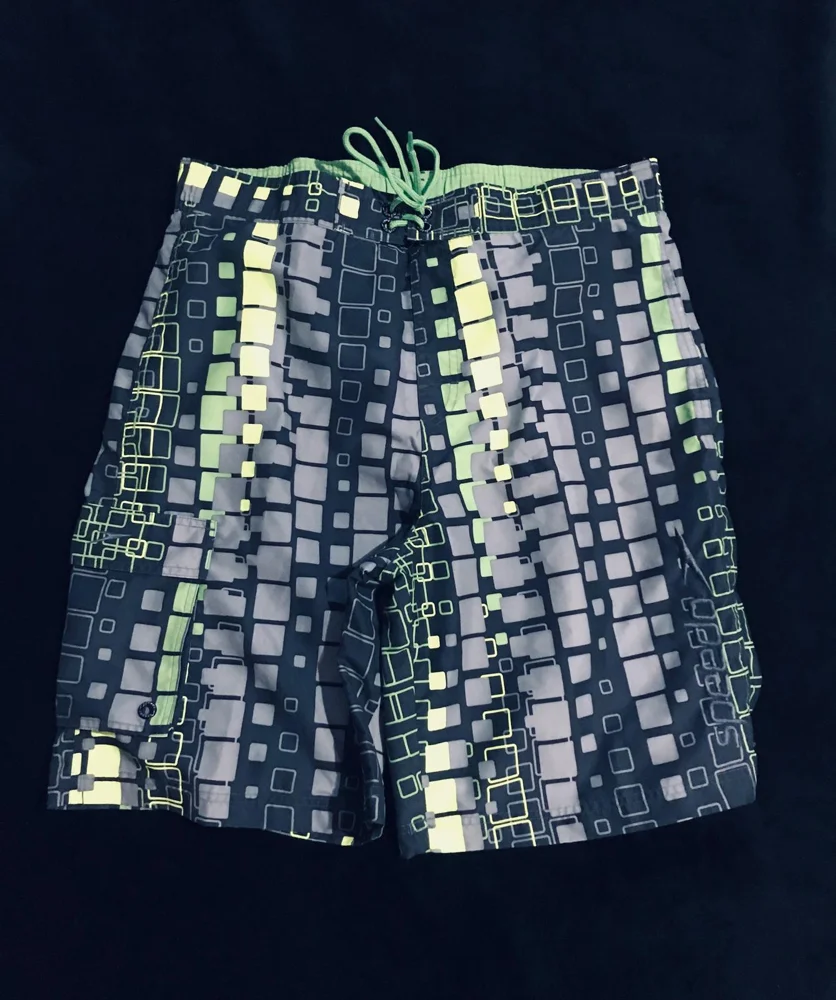 Speedo Board Shorts