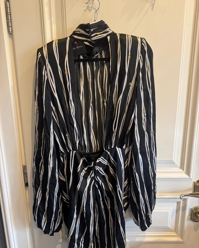 Elisabetta Franchi Mini Dresses, size S / 36 / 8, photo 4
