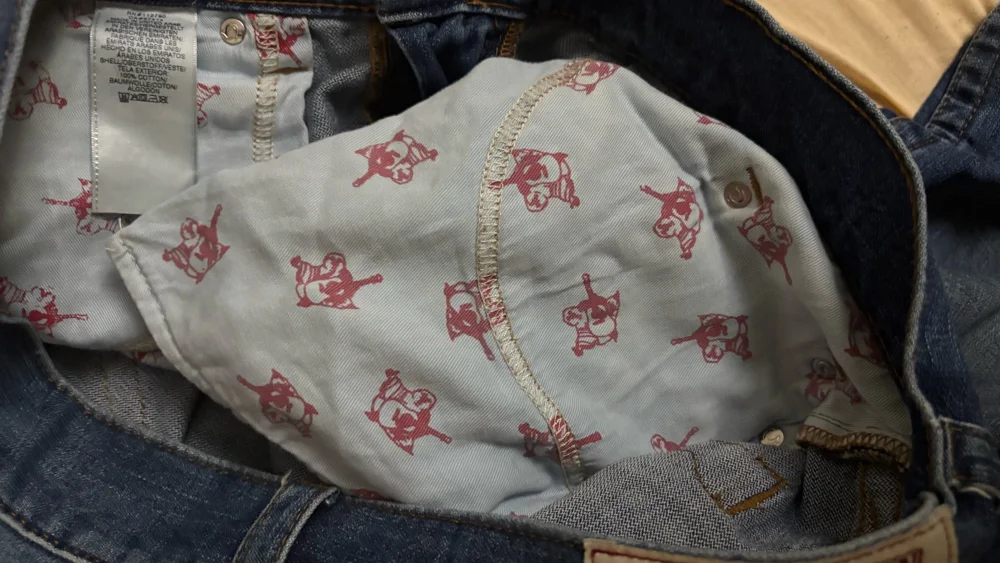 True Religion Pants, size W36, photo 3