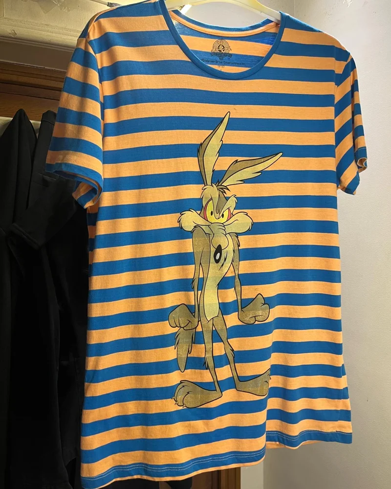 Looney Tunes T-shirts, size L / 40 / 12, photo 2