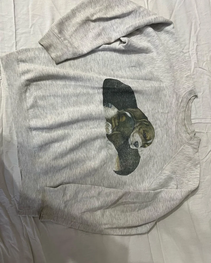 Sweatshirts, size M / 38 / 10, photo 4