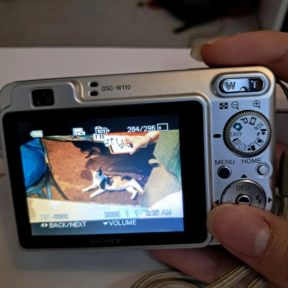Sony Digital Cameras, size Other, photo 5