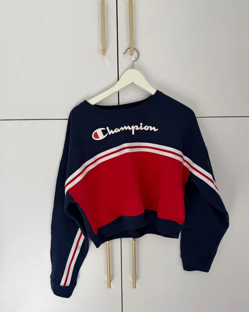 Champion Sweaters & Pullovers