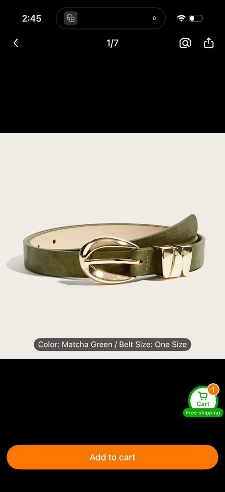 Trendy Belts