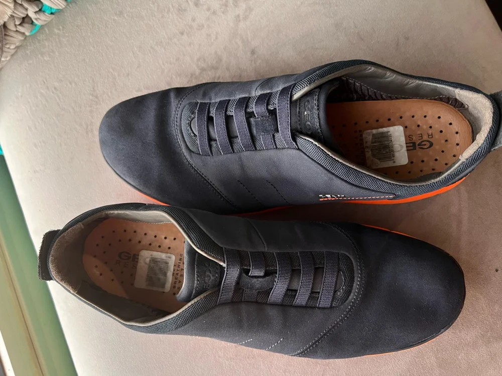 Geox Sneakers