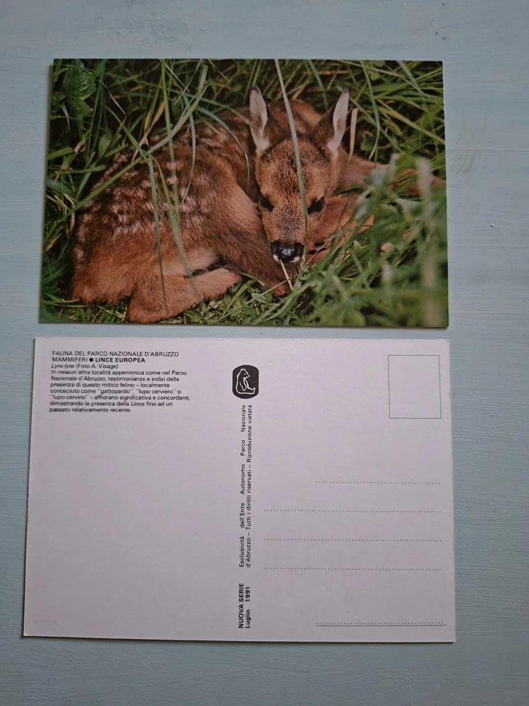 Books, size Other, photo 2