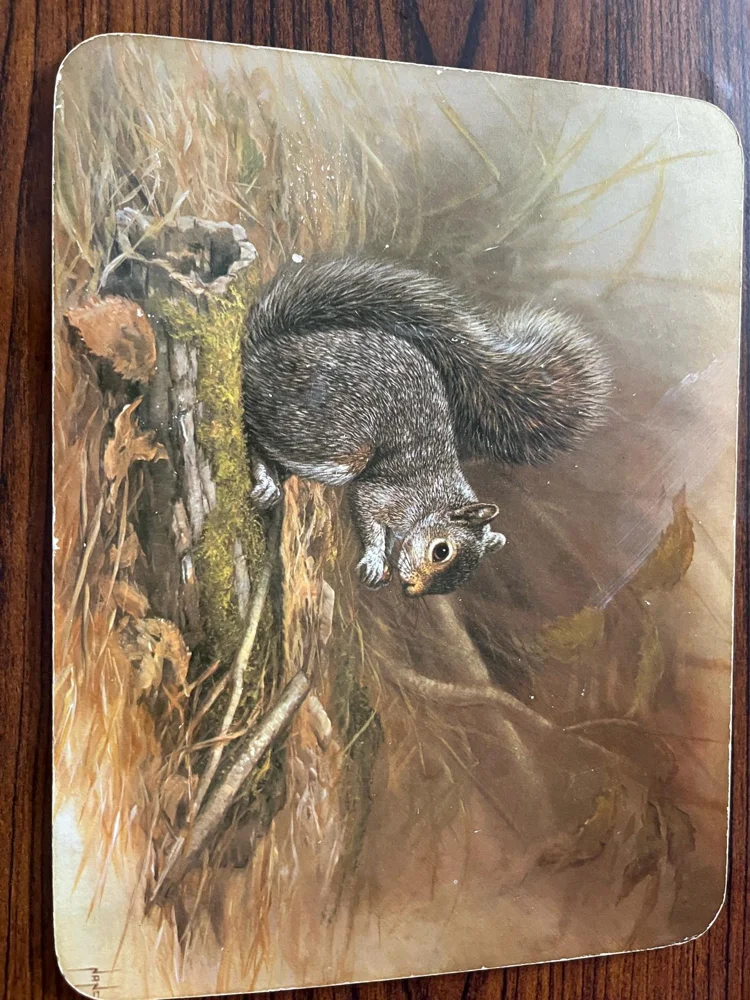 Books, size Other, photo 3