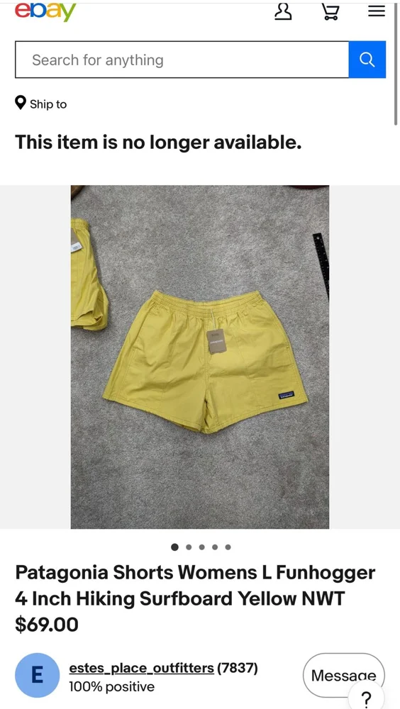 Patagonia Shorts, size L / 40 / 12, photo 4
