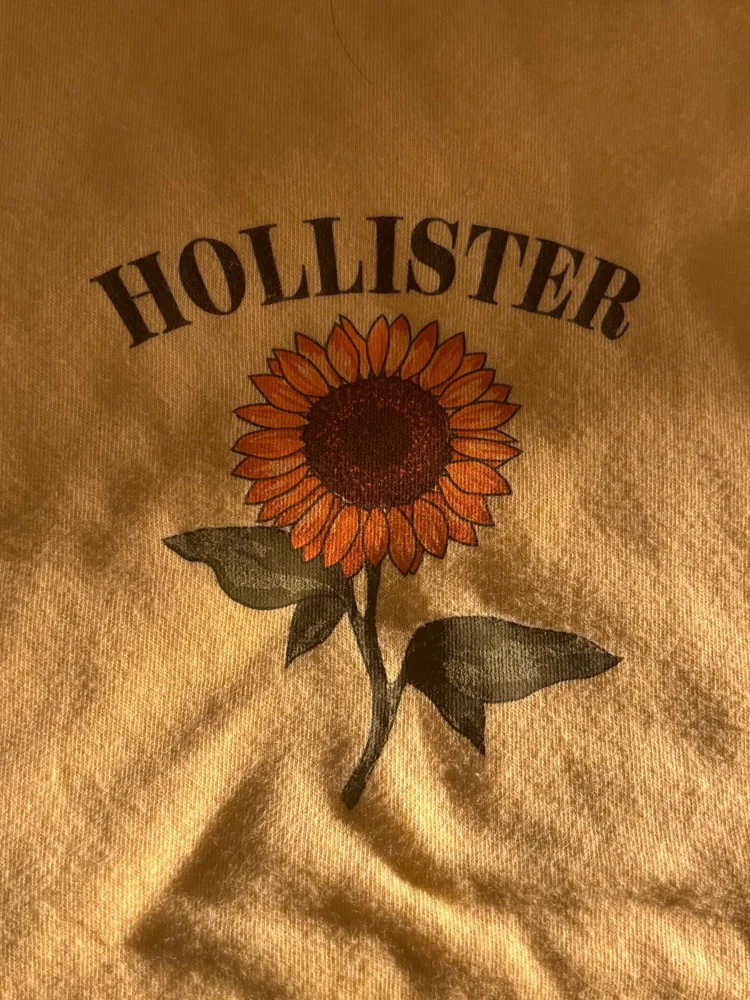 Hollister T-shirts, size S / 36 / 8, photo 3