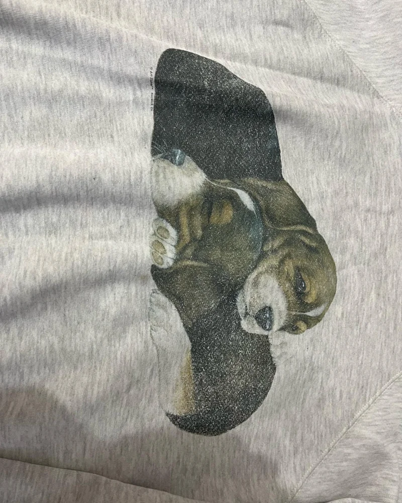 Sweatshirts, size M / 38 / 10, photo 2