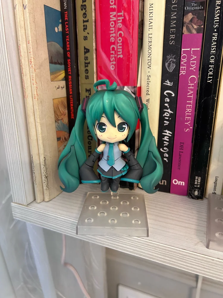 Video, size Other, photo 6