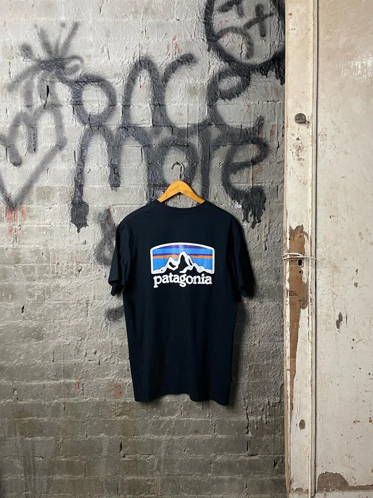 Patagonia T-shirts, size L, photo 3