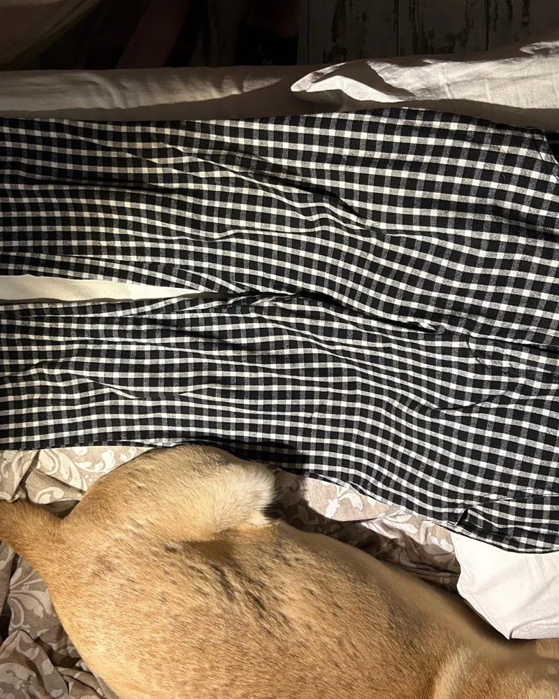 Hollister & Co Pants