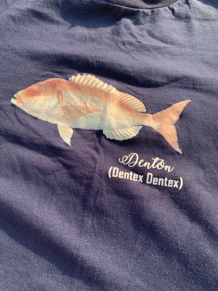 T-shirts, size Other, photo 2