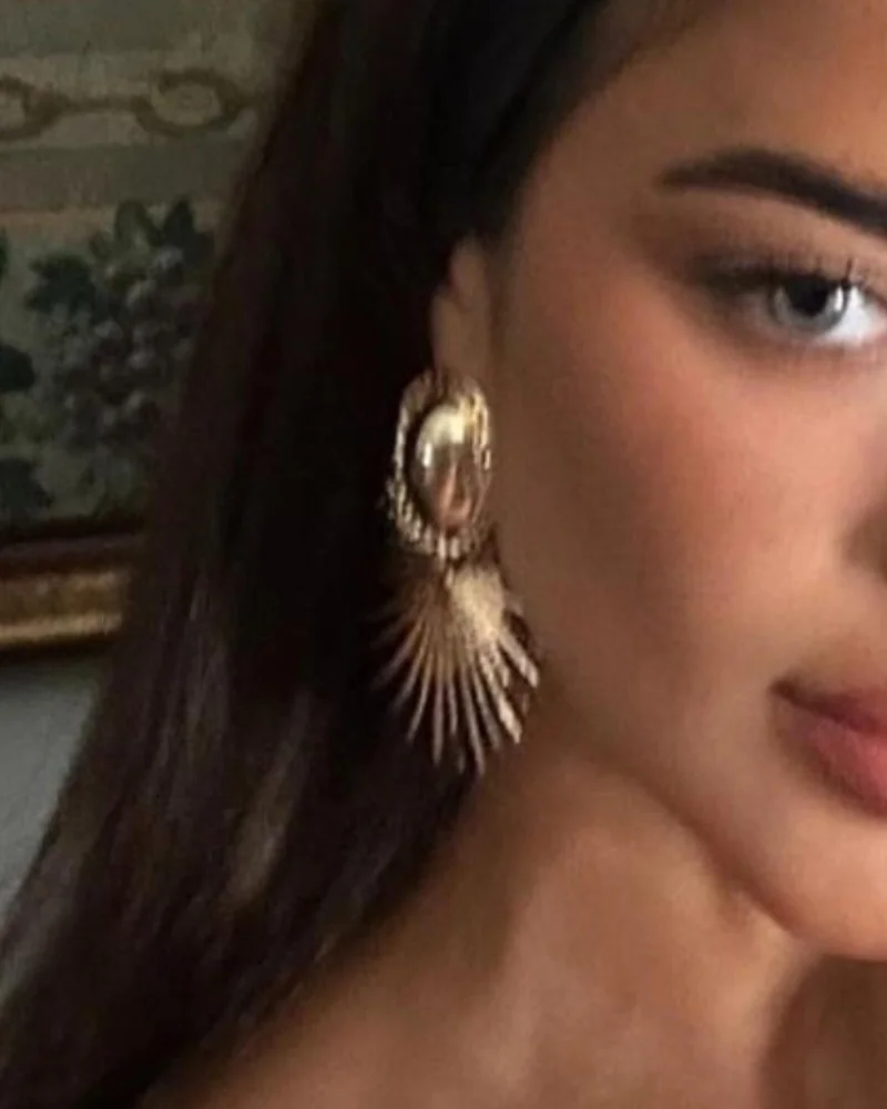 Earrings