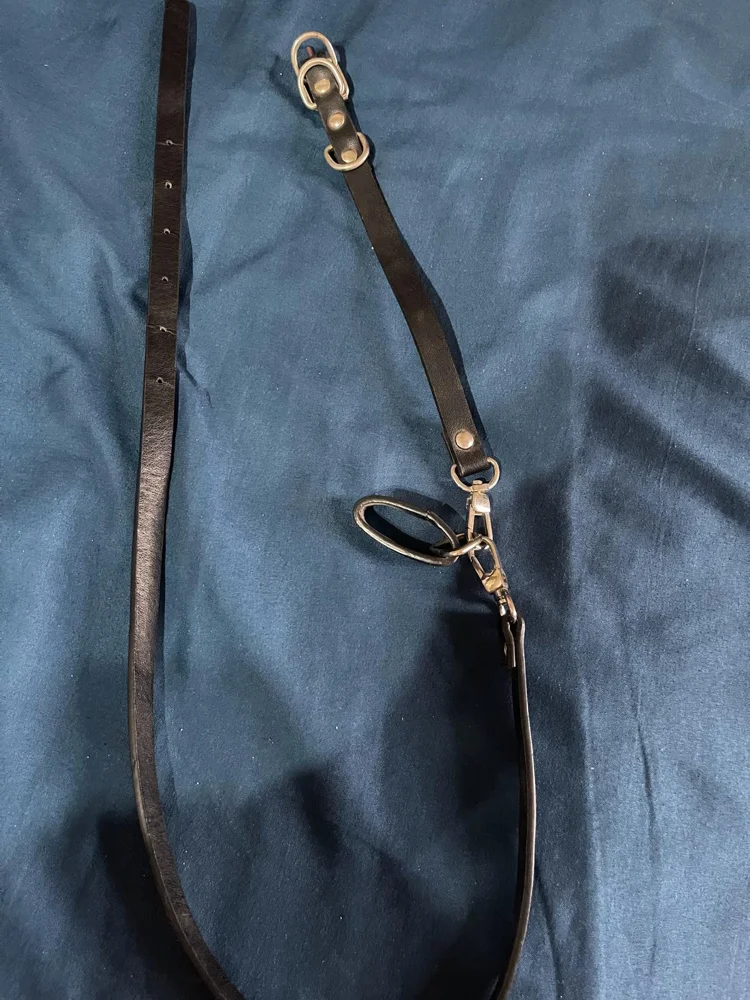 Max Belts, size One size, photo 3