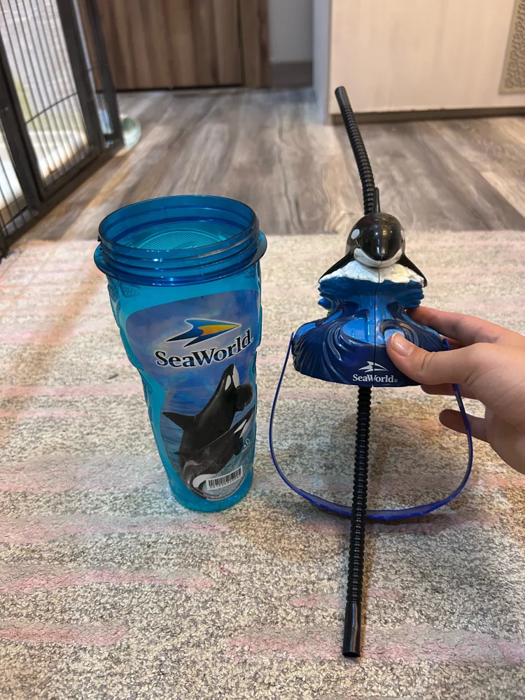 Video, size Other, photo 5