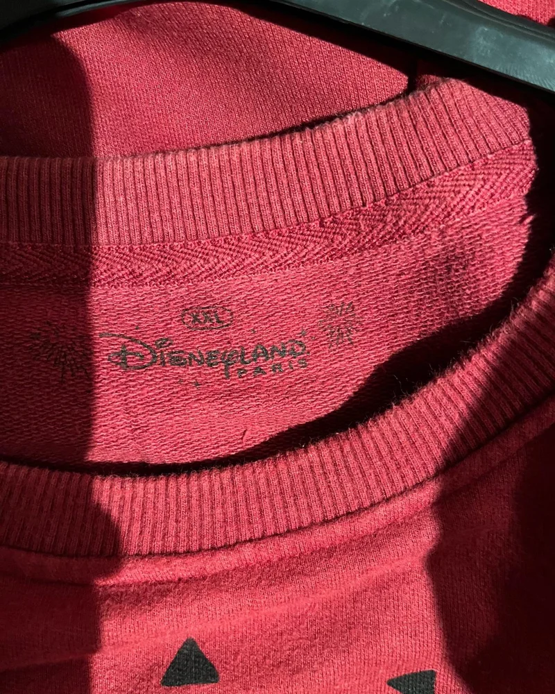 Disney Sweatshirts, size XXL / 44 / 16, photo 3